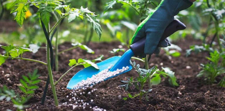 Fertiliser price shocks could result in more expensive fish feed
