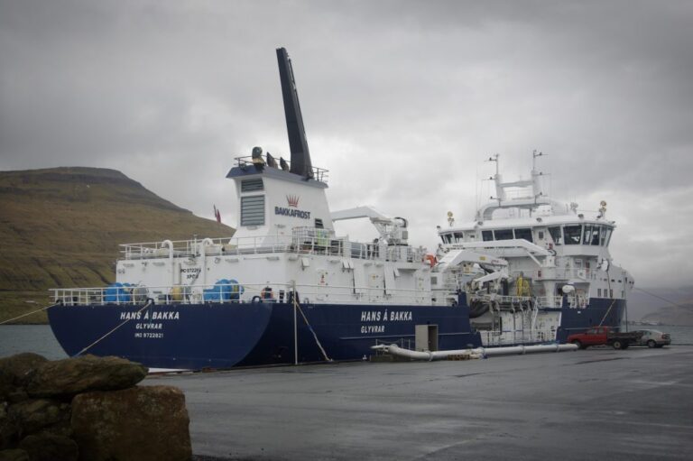 Heavy losses for Bakkafrost following high mortality in Scotland