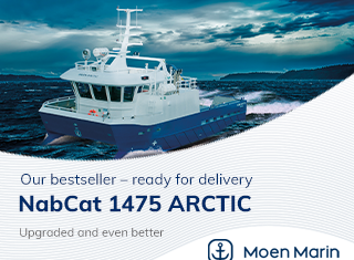 NabCat-Arctic_Engelsk-tekst_320x250_SalmonBus