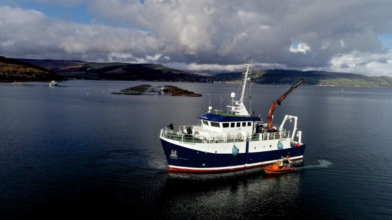 Protection of Scotland’s wild Atlantic salmon is a ‘national priority’ says SEPA