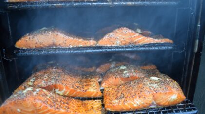 Sognefjord 2021 (8) (Middel)