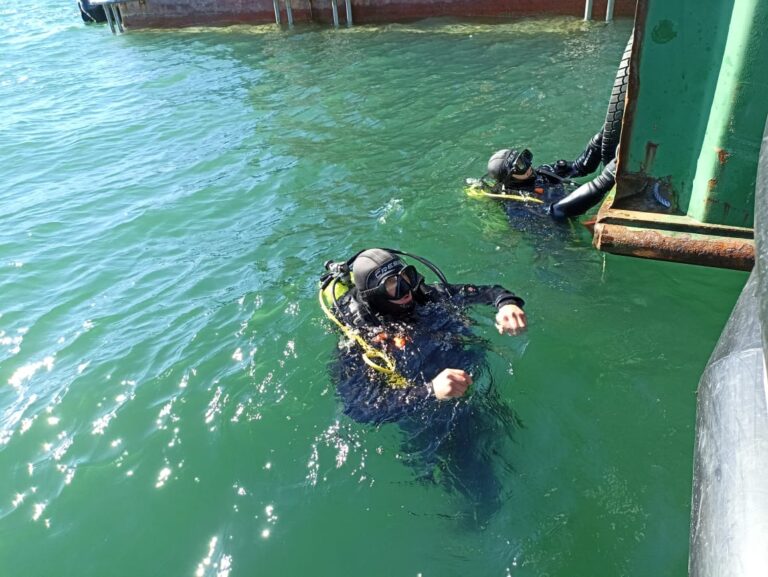 Deaths of two divers in a week spark safety probe in Chile’s salmon sector