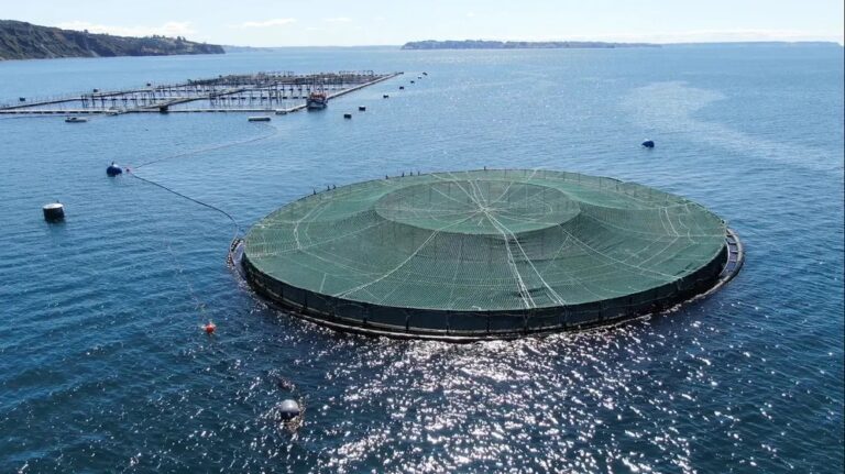 Successful trial for submersible offshore copper salmon farm