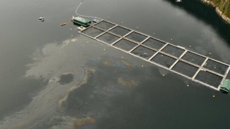 Cermaq Canada fined $500,000 for B.C. diesel spill