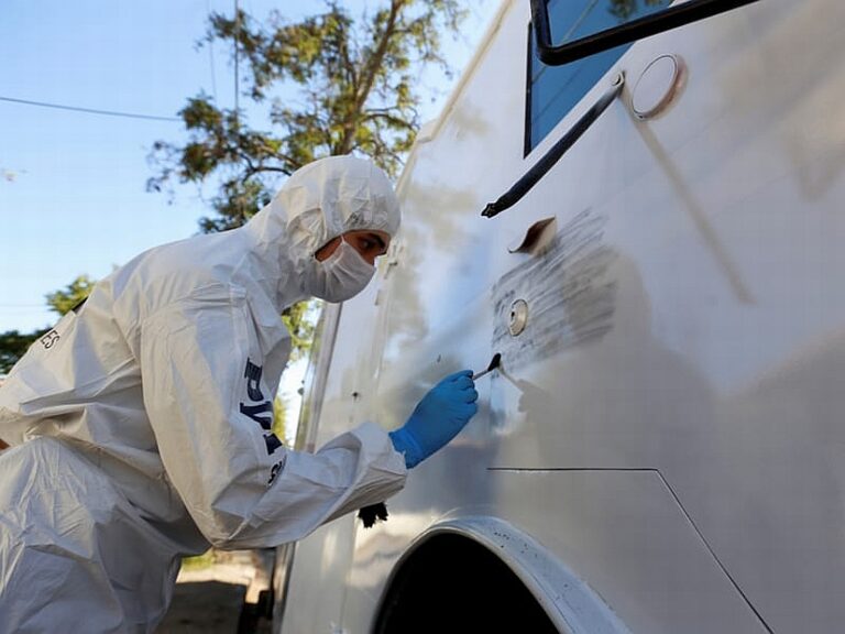 Hijackers steal $140,000 of premium salmon at gunpoint after handcuffing truck driver
