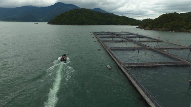 Chilean salmon producer raises $23 million in share issue