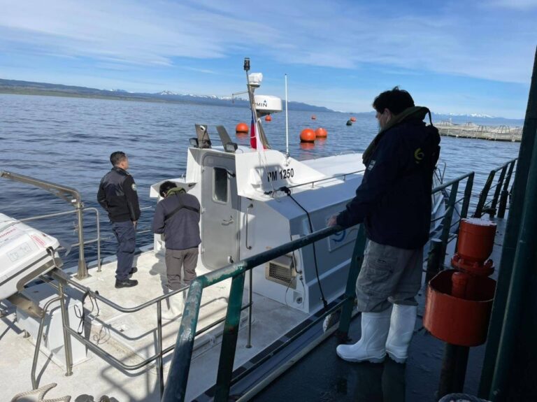 Sernapesca concludes investigation into 387,000 fish escape
