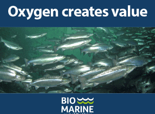 Biuomarine_netox-alt-320×250-1