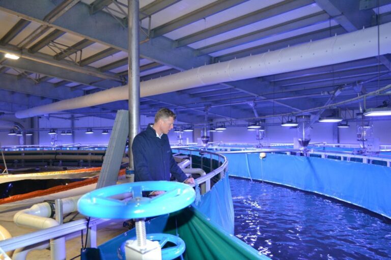Norway’s first land-based salmon facility is considering ditching salmon