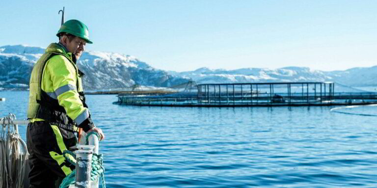 Mowi confirms ISA outbreak at farm housing 743,000 salmon