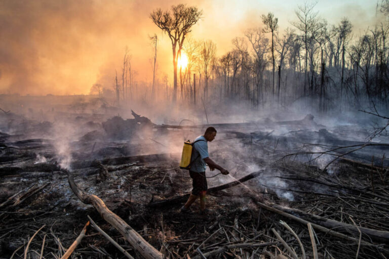 Deforestation free salmon feed goal achieved
