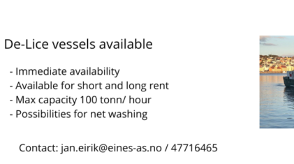 Annonse eines as Laugar ny