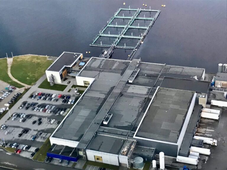 NTS is the chip that could enable SalMar to challenge Mowi as a market leader
