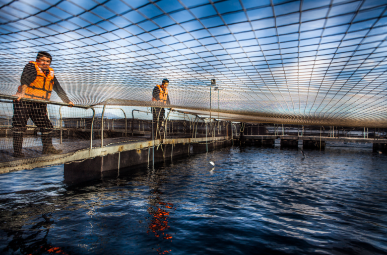 Camanchaca to use Spanish port to expand across European salmon market
