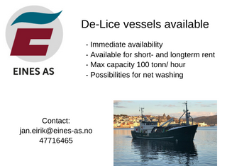 annonse eines as laugar ny 2