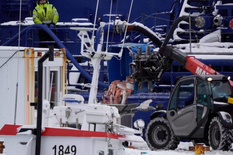 Up to 2,000 tonnes of salmon crushed to death in Icelandic storms