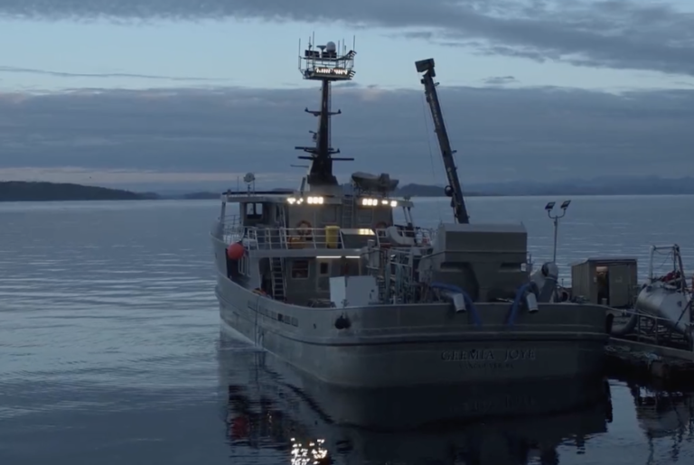 British Columbia premier warns Canadian prime minister transition plan will kill salmon farming jobs