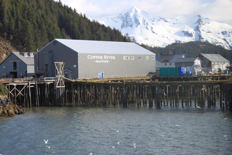 Copper River Seafoods to halt Kenai Peninsula operations this salmon season over rising production costs