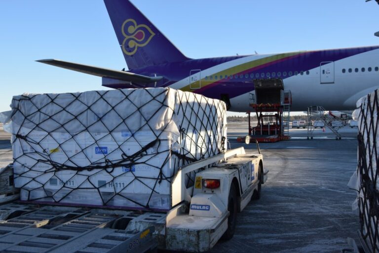 Air freight reductions cause steep price premium for salmon to China