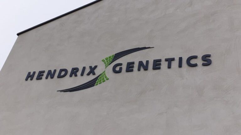 Paine Schwartz completes strategic 50 percent investment in Hendrix Genetics