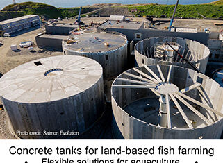 SB – art 2 – A-Consult