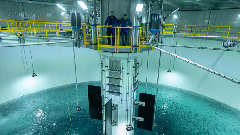 Salmon Evolution’s standing biomass jumps 45% in first quarter