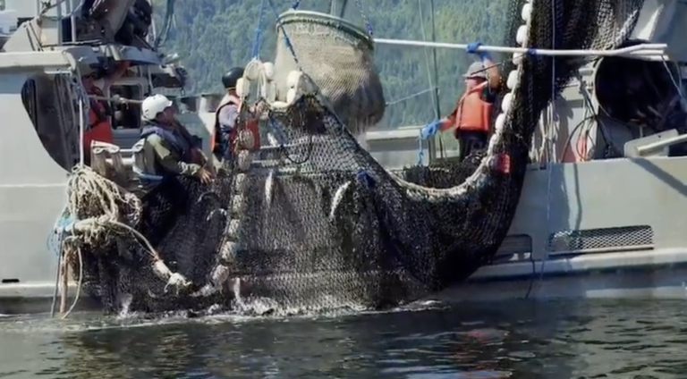 DFO responds to intention of First Nations to take control over traditional waters in salmon fishing row