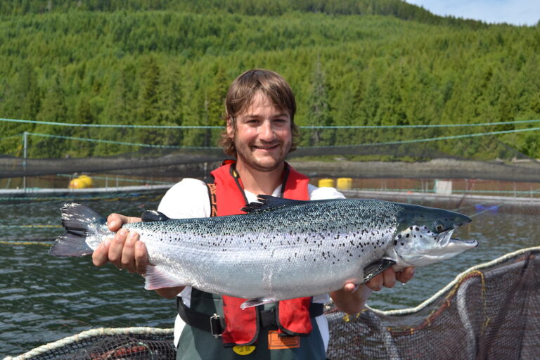 Victory for BC salmon farmers as judge overturns plan to shut down farms