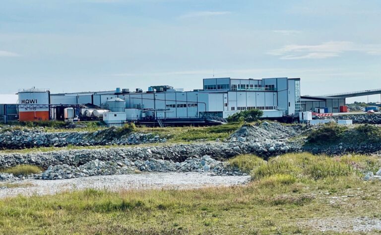Analysts predict extraordinary Mowi dividend after salmon price party