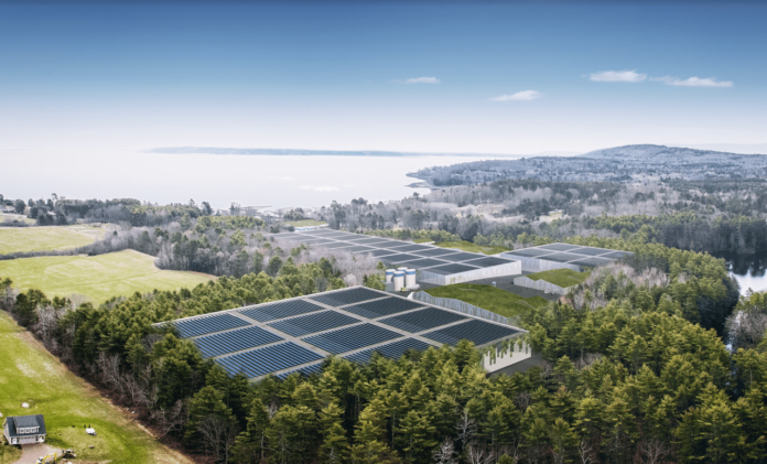 Rendering of the Nordic Aquafarms site in Belfast. Credit: Photo: Nordic Aquafarms