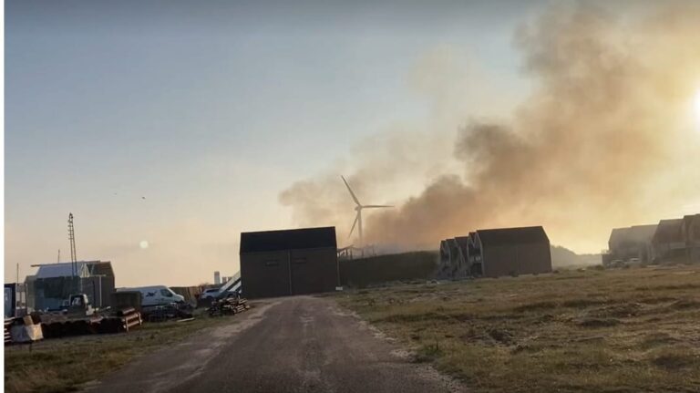 Police conclude investigation into fire at Atlantic Sapphire’s Denmark facility