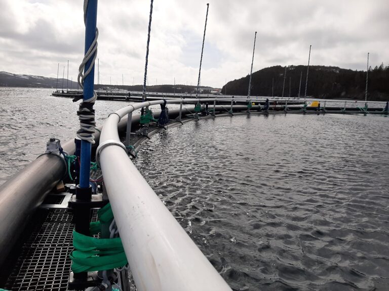 Grieg’s billion-dollar growth in Newfoundland depends on success in the first phase