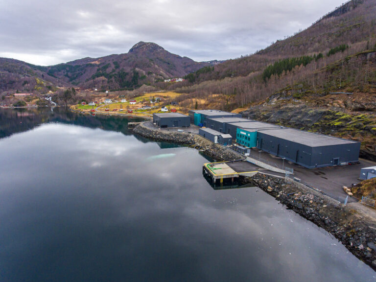 Benchmark Genetics launches R&D collaboration to tackle sea lice in salmon