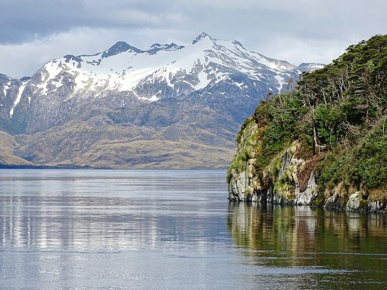 Push to make Chilean reserve a national park could halt salmon farming