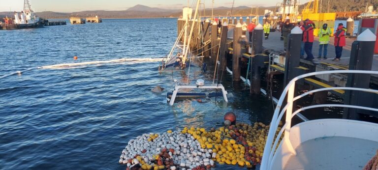 Recovery of 50 tons of salmon from sunken trawler complete