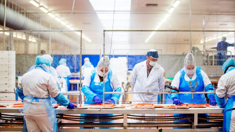 Price-sensitive Polish processors reduce salmon purchases by 30 percent
