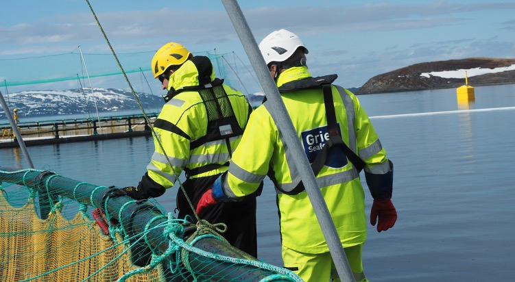 Grieg Seafood secures stronger than expected operational EBIT in the first quarter