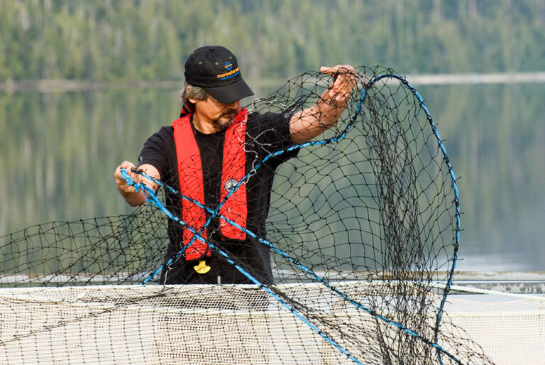 Study’s findings on sea lice resistance to drug is nothing new, but it puts spotlight on a uniquely Canadian challenge