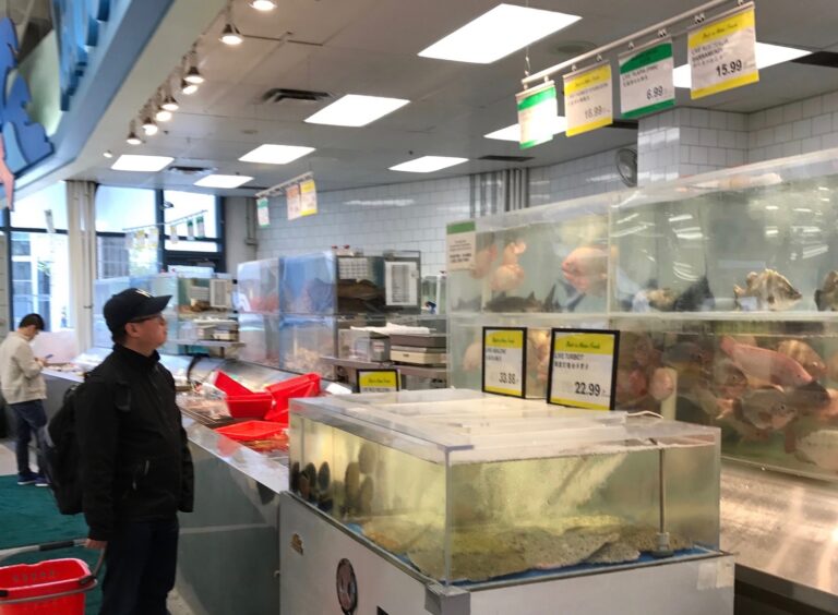 Americans ate less seafood in 2020, but data do not fully reflect pandemic shifts