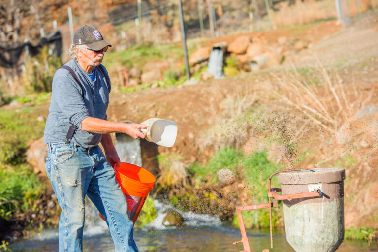 Small fish farmers are being squeezed by surging prices of fish feed, fuel