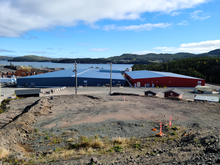 Grieg Seafood aiming for 120,000-135,000t within four years