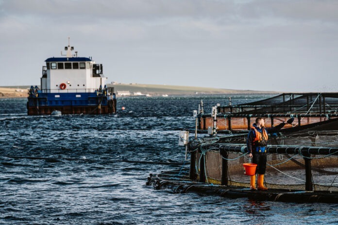 ©Scottish Sea Farms Lober Rock salmon farm, Orkney