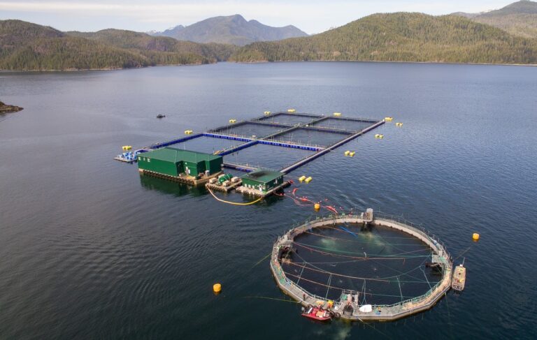 Grieg Seafood already preparing for a ‘transitioned’ BC salmon industry