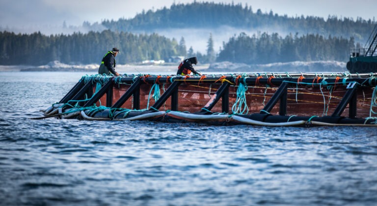 Cooke says $256M five-year investment underscores its focus on Canada