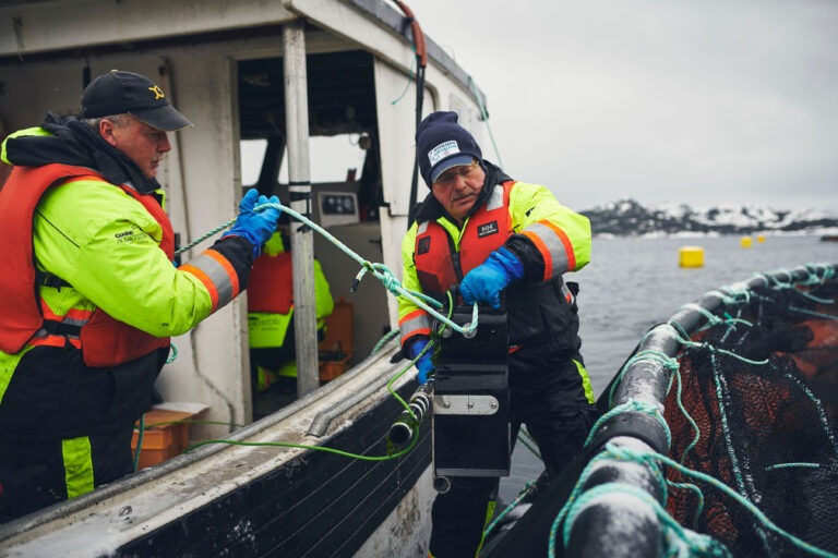 Atlantic Canada to maintain status quo amidst headwinds in BC salmon farming