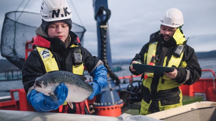 Cermaq reacts to charges made in Chile