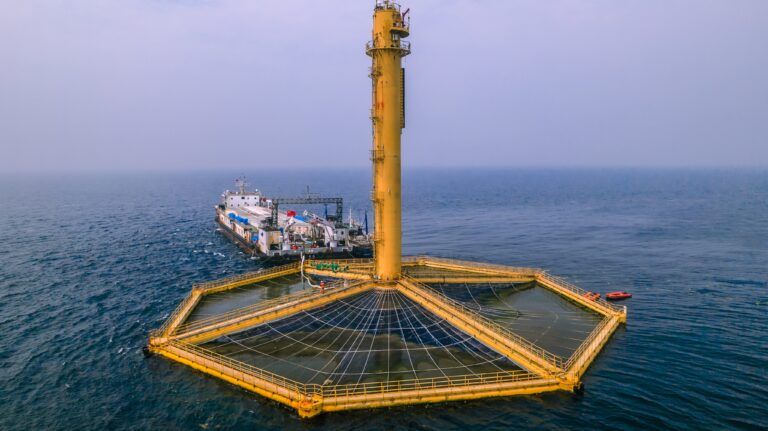 China successfully harvests first catch of Atlantic salmon from deep-sea fish farm
