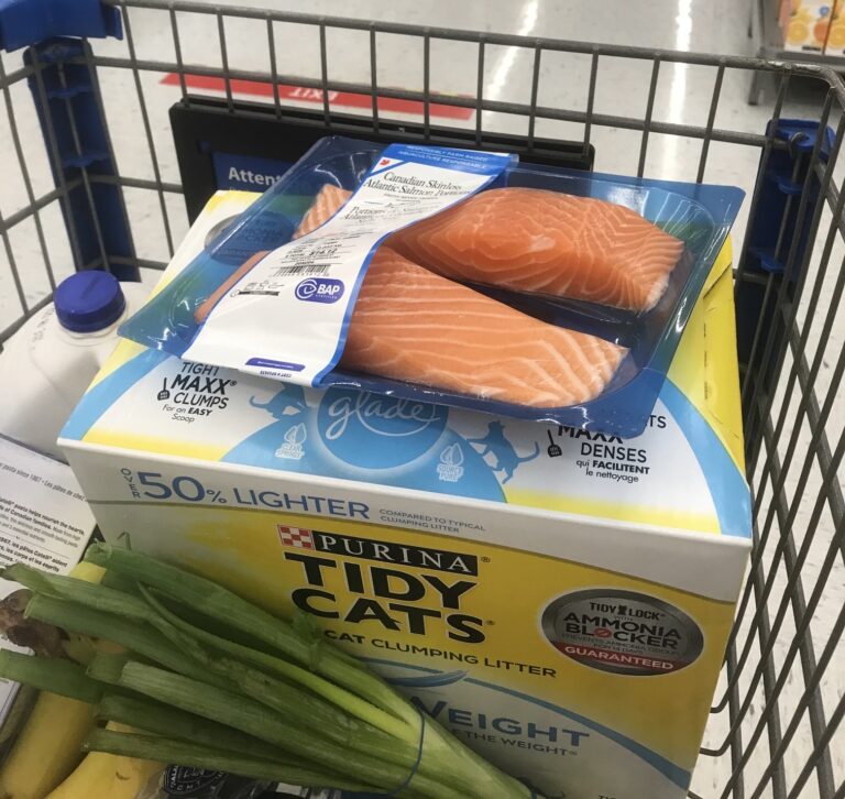 Voice of US retail industry sees food prices soaring further