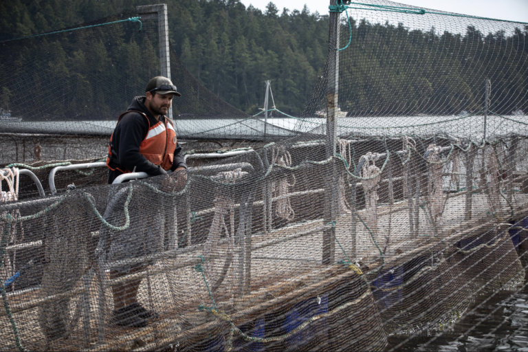 US Court declines to award damages to tribe on ‘nuisance theory’ of harm to native Pacific salmon