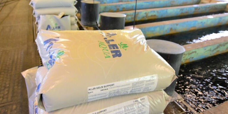 Stronger dollar hits fish feed sector